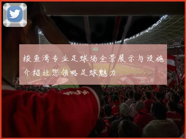 梭鱼湾专业足球场全景展示与设施介绍让您领略足球魅力