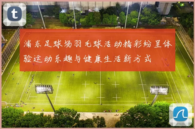 浦东足球场羽毛球活动精彩纷呈体验运动乐趣与健康生活新方式