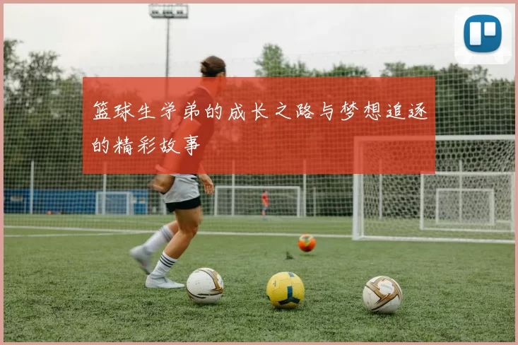 篮球生学弟的成长之路与梦想追逐的精彩故事