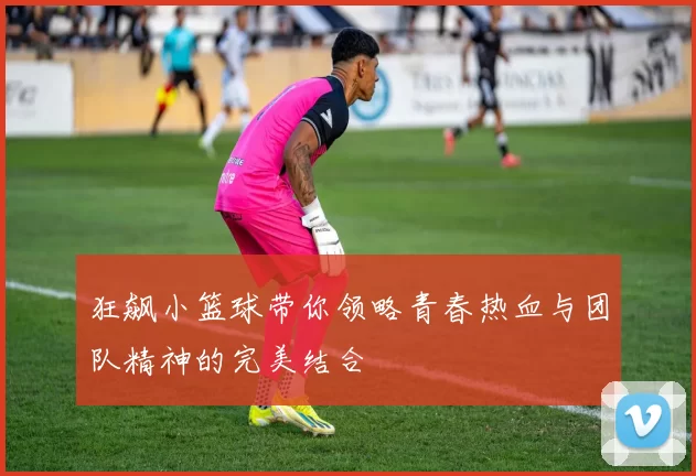 狂飙小篮球带你领略青春热血与团队精神的完美结合